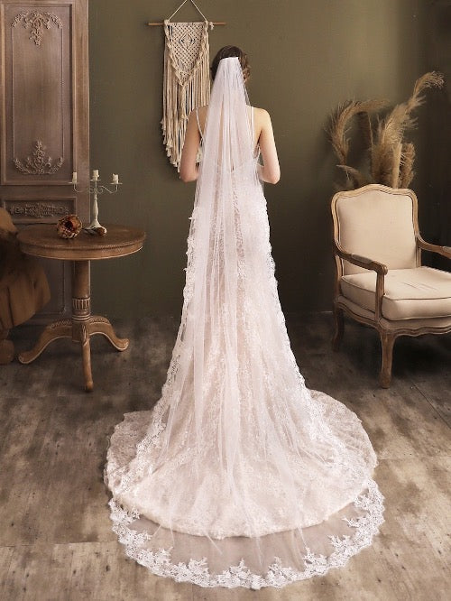 Cathedral Length Bridal Veil-Lace Edging
