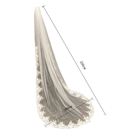 Cathedral Length Bridal Veil-Lace Edging