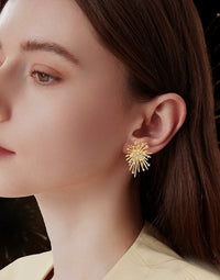 Chic Dazzling Spark Earrings