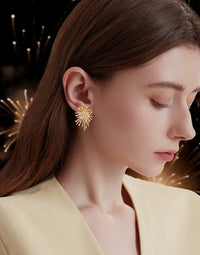 Chic Dazzling Spark Earrings