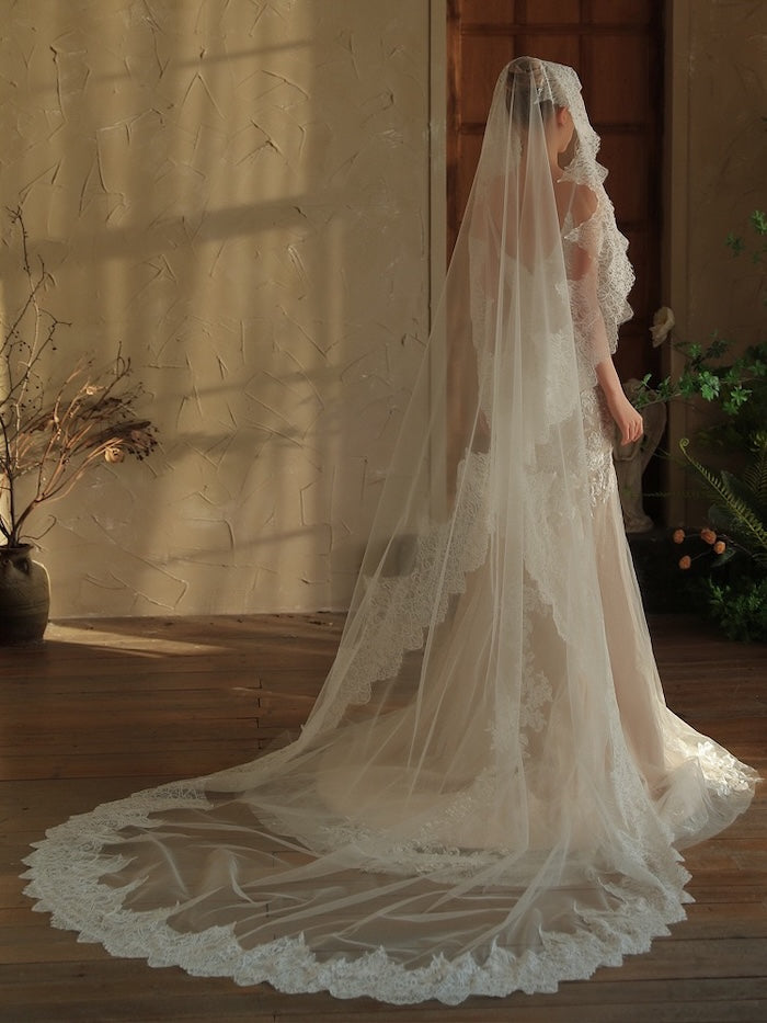 Cathedral Lace Bridal Veil – Royal Style - Iron it before use